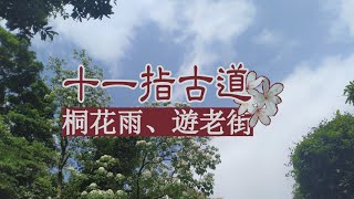 十一指古道桐花秘境的致高點竟然是!?【杳深遊臺灣05】