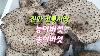 진안전통시장 능이버섯 송이버섯/153 민물고기집