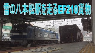 【走行動画】雪の八本松駅を通過するEF210が牽く貨物列車