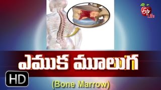 Aarogyamastu | Bone Marrow | 25th November 2016 | ఆరోగ్యమస్తు