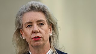 Coalition has ‘no plans’ to legislate around genders