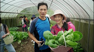 大平窩有機蔬菜農園與魏家休閒農莊》從產地到餐桌一條龍體驗 大墩山特色風味餐、憂遁草水梨蜂蜜汁、 咖啡果殼茶 | 一鳴Amazing人文采風誌