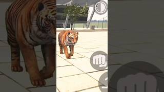 Tiger 🦁 Cheat Code In Indian Bike Driving 3d | indian bike game | #shorts #shortvideo