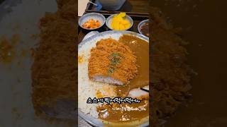 ⭐이영자님 픽 돈까스 맛집 떡볶이랑콜라보라니!!  #맛집 #내돈내산 #이영자맛집 #김포돈까스