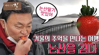 겨울의 추억을 만나는 여행, 논산을 걷다 [포항MBC 210129 방송]