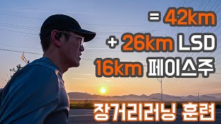 장거리러닝을 이렇게도 연습했습니다! 16+26km ㅣ페이스주 + LSDㅣJTBC마라톤