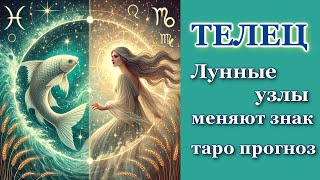 ТЕЛЕЦ - ТАРО ПРОГНОЗ - КАРМИЧЕСКИЕ ЛУННЫЕ УЗЛЫ МЕНЯЮТ ЗНАК 2025/ 2026 - КАК ИЗМЕНИТСЯ ЖИЗНЬ