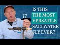 The MOST versatile saltwater fly?!