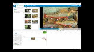 Adding Images to Your Movie.webm