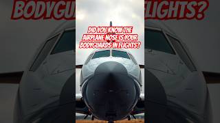 The Secret of Plane’s Nose Explained! its not just Aerodynamics