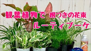 観葉植物でルーティブーケ