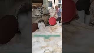 Sheep wool washing process momentsgang