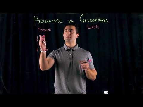 What is difference between hexokinase and glucokinase?