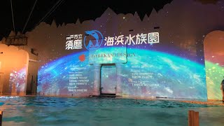 スマスイ【須磨水族園】夜のイルカショー★プロジェクションマッピング