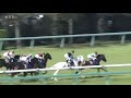 【2021 桜花賞 gⅠ メイケイエール】出遅れ➡︎掛かり➡︎やる気満々仕掛け 拍手 ➡︎逆噴射 ツインターボ ➡︎18着…