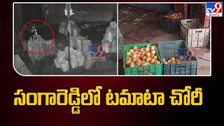 Tomato Robbery in Sangareddy : సంగారెడ్డి లో టమాటా చోరీ - TV9