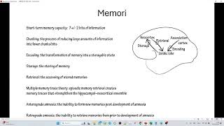 20240512 - Limbic System Rehearsal