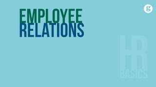 HR Basics: Employee Relations 2e