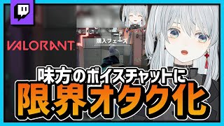 【VALORANT】味方のVCに限界オタク化かもです！ #shorts【猫麦とろろ/個人Vtuber】