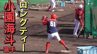 小園海斗選手のロングティーをスローにしてみました【２０１９春季カープ日南キャンプ】