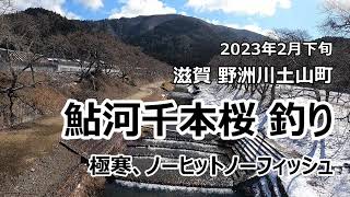 滋賀野洲川上流 鮎河千本桜で渓流釣り（ノーヒット・ノーフィッシュ）