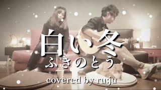 女性が歌う「白い冬」ふきのとう covered by ru:ju