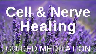 Guided HEAL Meditation - Cell and Nerve Healing (Self Healing Meditation)
