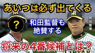 【虎の未来の4番】和田二軍監督「４番を打つくらいのものは持っている。」岡田監督待望の若手の大砲とは？【阪神タイガース】