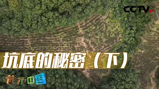 “天外来客”撞击地球 神秘巨坑揭开地理奥秘！20230409 坑底的秘密（下）|《地理·中国》CCTV科教