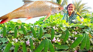 টালির চালে উঠে শিম পেড়ে মায়ের হাতে তৈরি বড়ি তার সঙ্গে পুকুরের মাছ দিয়ে বানালাম দারুণ রেসিপি