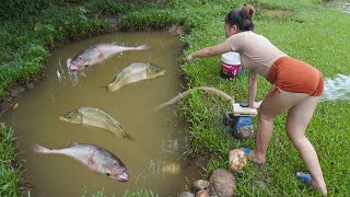 Full video: How To Catch Fish In The Wild, Unique Fishing, Fishing Techniques, Catch A Lot Of Fish