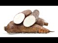 dr sebi on why no cassava