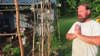 Chanting Gayatri Mantra to the plants at Polestar Gardens