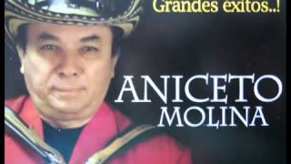 )( Aniceto Molina Charanga Costeña )(