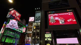 【新宿】クロス新宿ビジョン NURO光クリスマス #NURO光 #ニャーロ