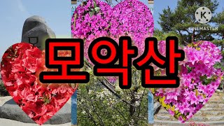 [대한민국 100대명산 #58 : 모악산]모악산 관광단지 주차장, 대원사, 수왕사, 모악산 정상, 남봉, 천일암 (수도원), 왕복 6.1km / 3시간30분, [2023.4.17]