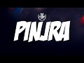 DJ Raja - Pinjra