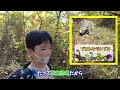 【japan travel】fukui katsuyama dinosaur forest