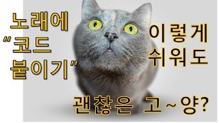 노래에 기본 코드 붙이는 방법!! (초급 과정 이상)