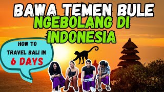 I EXPLORED ALL OF BALI IN 6 DAYS || A MONKEY STOLE MY SNACK