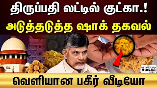 Tirupati laddu issue | திருப்பதி லட்டுவில் குட்காவா..? என்ன நடக்குது அங்க.?