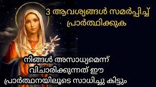 നിങ്ങളുടെ 3 നിയോഗങ്ങൾ ഈ പ്രാർത്ഥനയിലൂടെ അമ്മ മാതാവ് സാധിച്ചു തരും