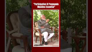 PM Modi Latest Interview | "Participation Of Pasmanda Muslims Essential": PM Modi To NDTV