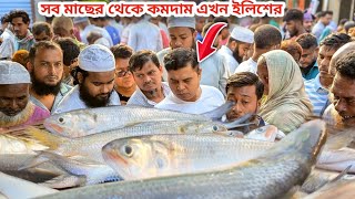 মাছের মধ্যে সবথেকে কমদাম ইলিশ মাছের।ধরা পড়ছে ভরপুর ইলিশ মাছ। Today's fish market video