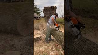 The Underestimated Stihl 400c #shorts #firewood #stihl