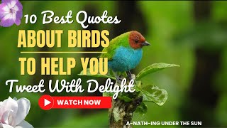 10 BEST QUOTES ABOUT BIRDS TO HELP YOU TWEET WITH DELIGHT