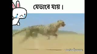 বেতন যেভাবে আসে এবং যেভাবে চলে যায়😒🙄 #memes