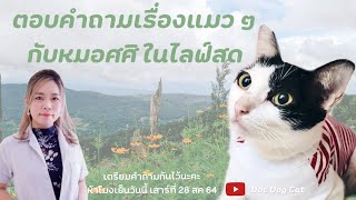 ตอบคำถามเรื่องแมว กับหมอศศิ