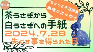 茶うさぎから白うさぎへの手紙 2024「210. 失くす事を得られた日」