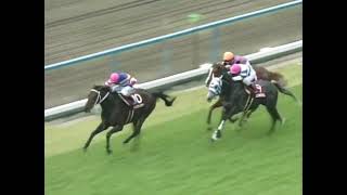 ヒシミラクル 2003年 第38回京都大賞典(GII) (優勝馬：タップダンスシチー)